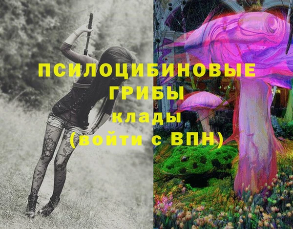 прущая мука Алзамай